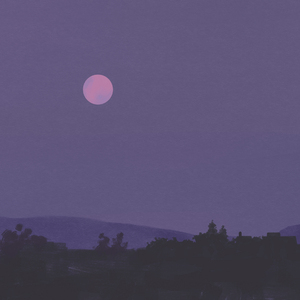 黑人麦克到日本朋友家做客
